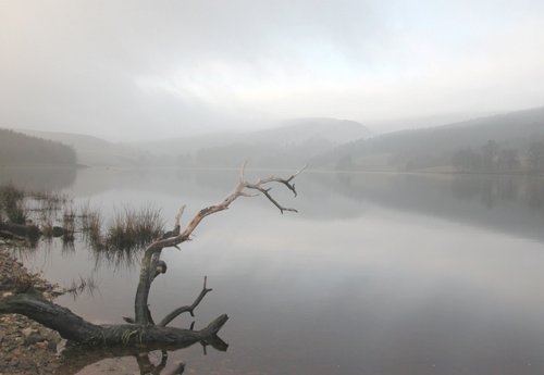 Errwood-reservoir-mist-2